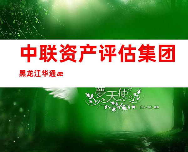 中联资产评估集团黑龙江华通有限公司