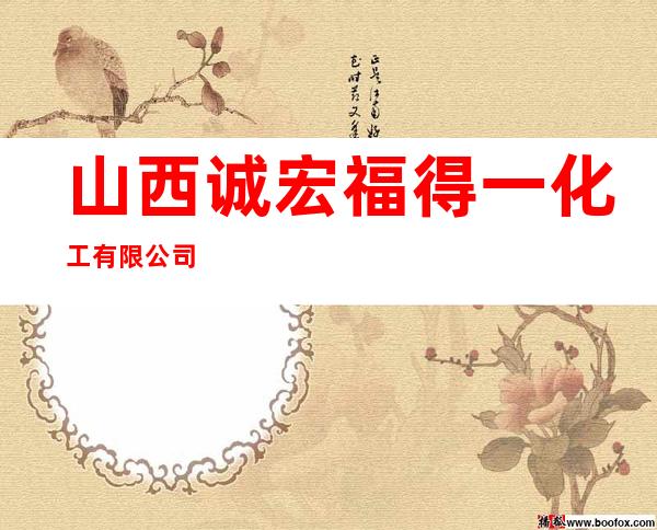 山西诚宏福得一化工有限公司