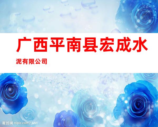 广西平南县宏成水泥有限公司